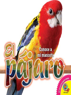cover image of El pájaro
